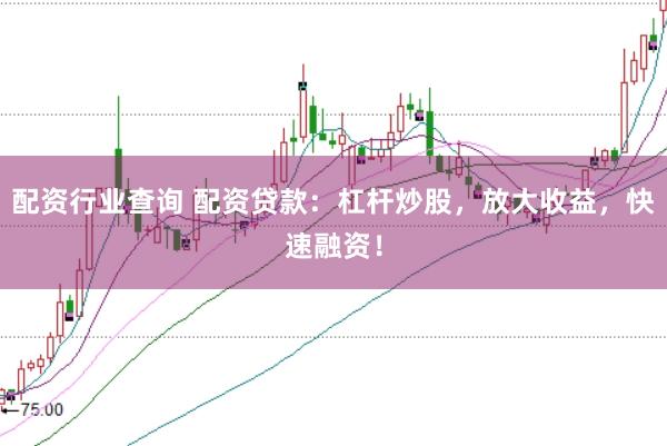配资行业查询 配资贷款：杠杆炒股，放大收益，快速融资！