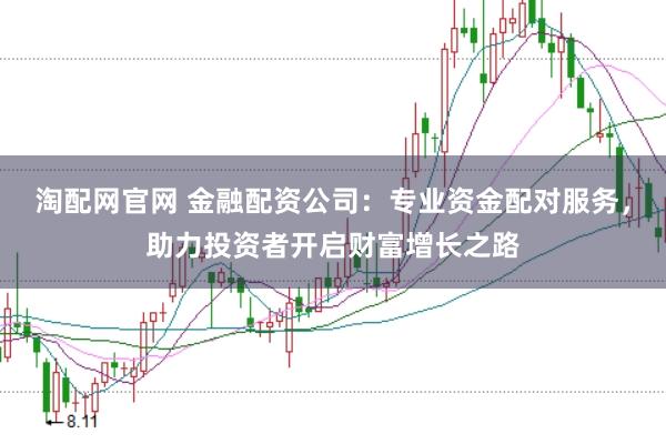 淘配网官网 金融配资公司：专业资金配对服务，助力投资者开启财富增长之路