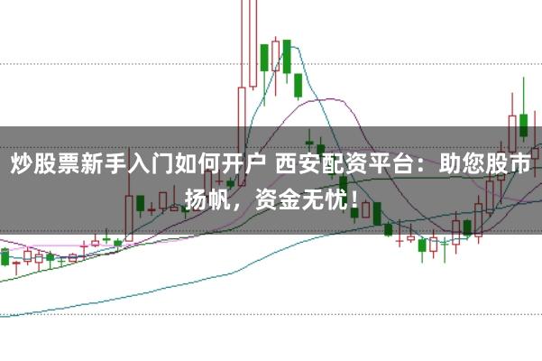 炒股票新手入门如何开户 西安配资平台：助您股市扬帆，资金无忧！