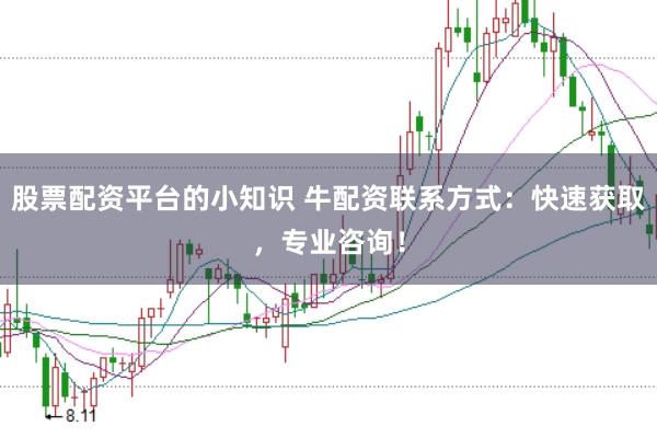 股票配资平台的小知识 牛配资联系方式：快速获取，专业咨询！