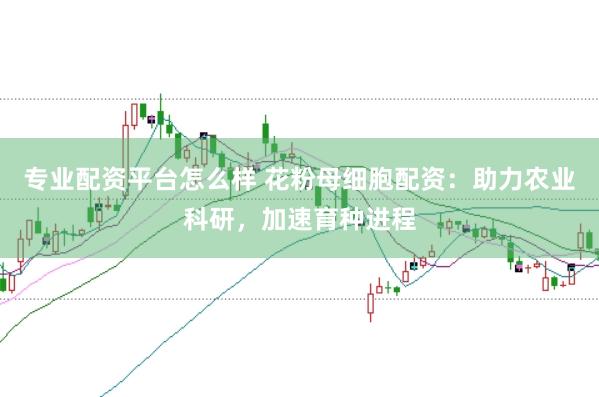 专业配资平台怎么样 花粉母细胞配资：助力农业科研，加速育种进程