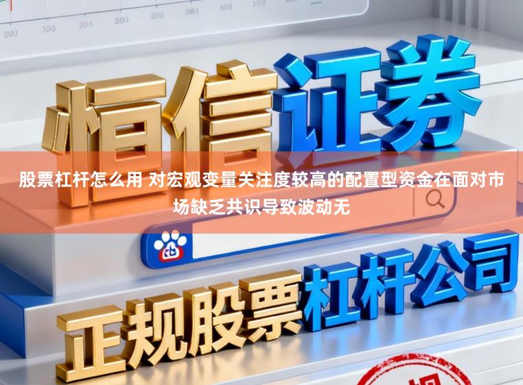 股票杠杆怎么用 对宏观变量关注度较高的配置型资金在面对市场缺乏共识导致波动无