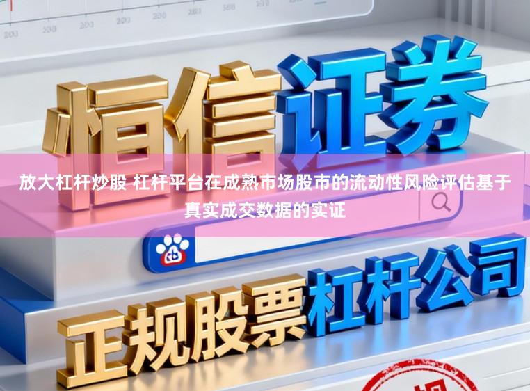 放大杠杆炒股 杠杆平台在成熟市场股市的流动性风险评估基于真实成交数据的实证