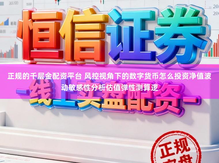 正规的千层金配资平台 风控视角下的数字货币怎么投资净值波动敏感性分析估值弹性测算逻